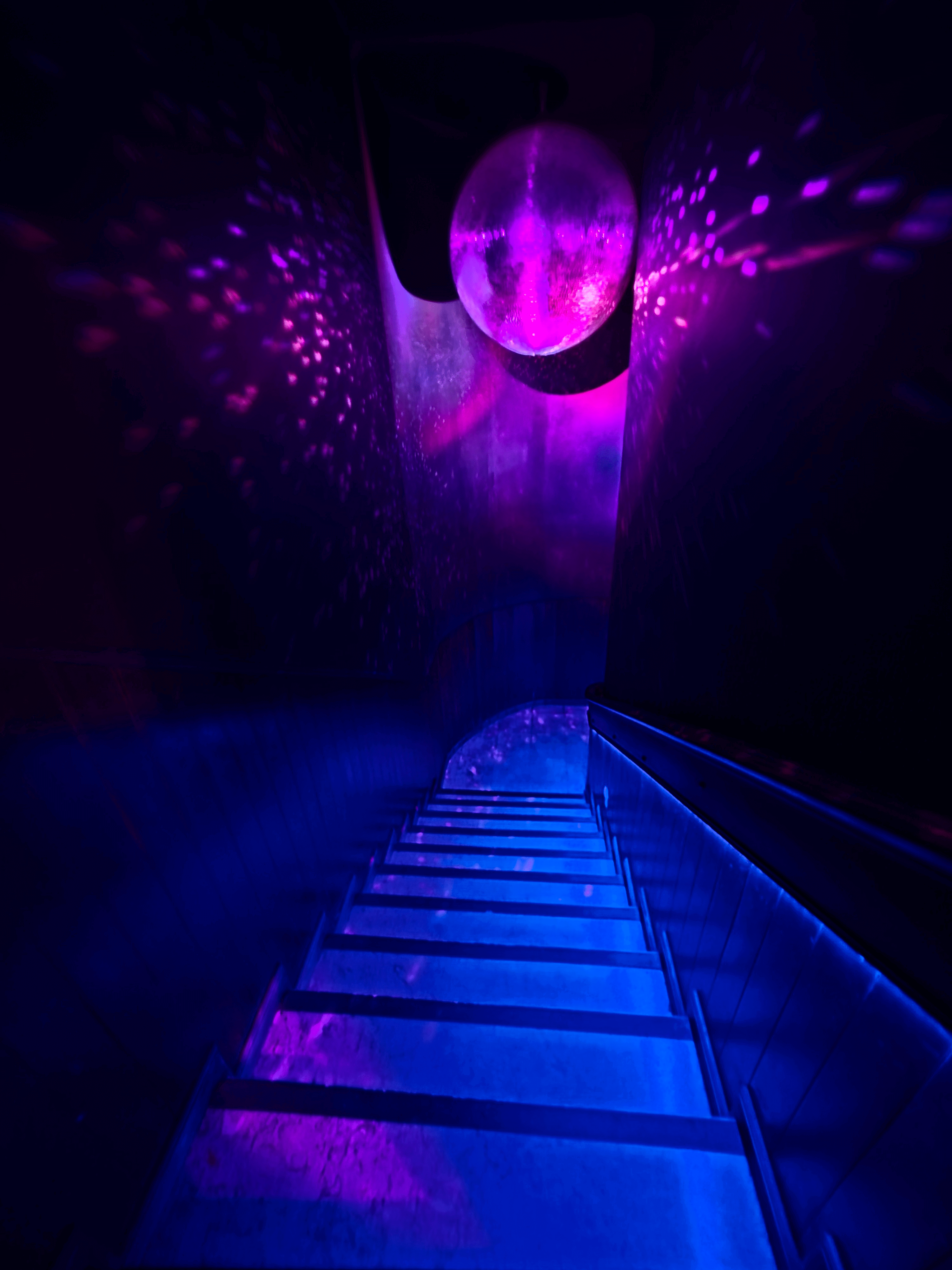 Gallery 26